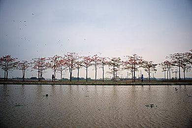 CDPR发布《赛博朋克2077》数据后 股价继续下跌